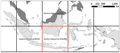 Plantation Mapping in Southeast Asia